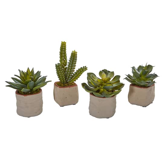 6&#x22; Potted Mixed Succulent Plants, 4ct.